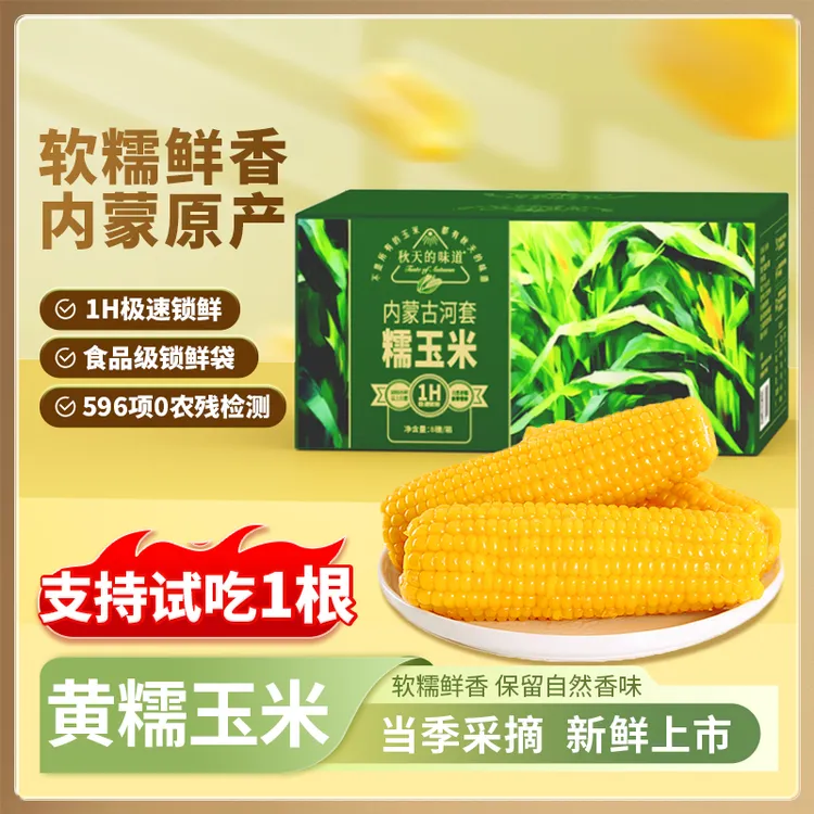 甜糯619 黄糯小粒玉米260g*8根 内蒙古糯玉米软糯香甜 非转基因