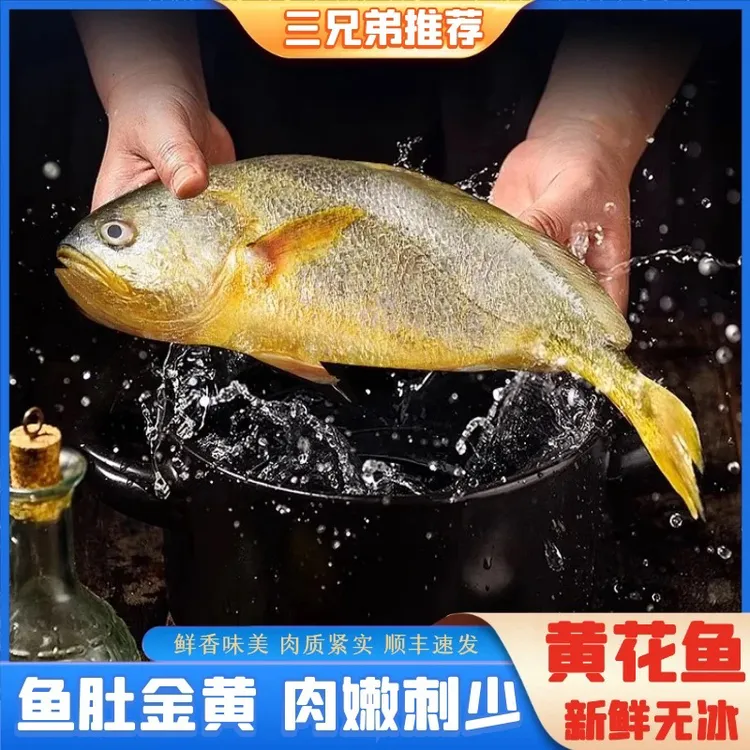 【三兄弟海鲜】大黄花鱼海鲜水产大黄鱼新鲜整箱3条约1.1-1.2斤/条