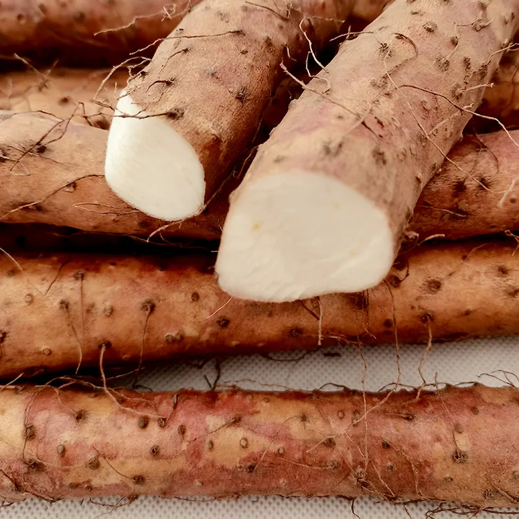 河南焦作温县正宗垆土怀山药铁棍山药淮山药新鲜