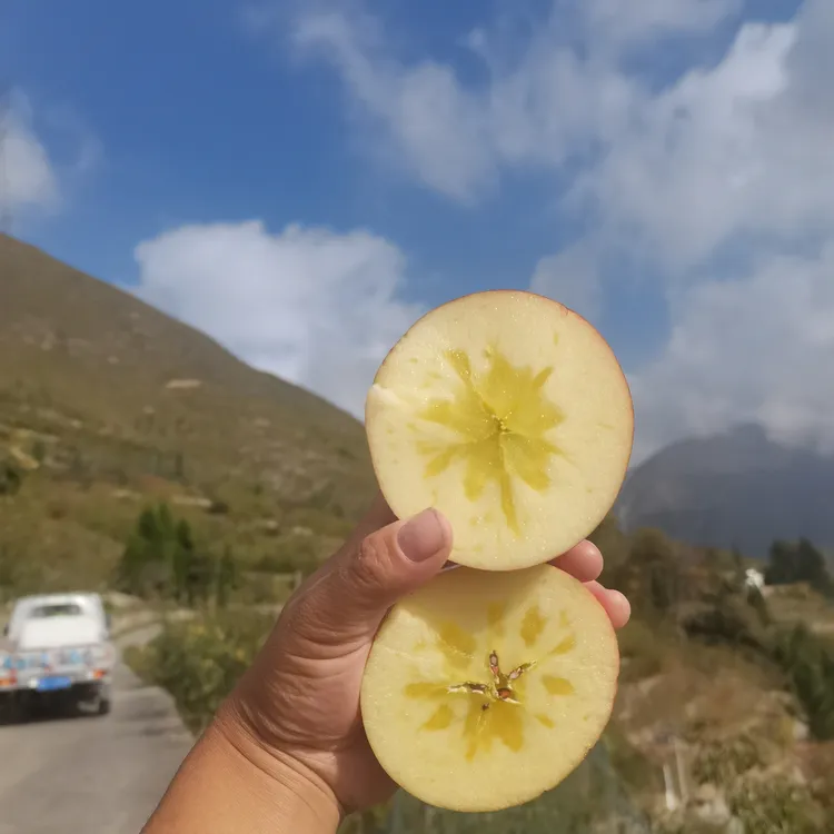 茂汶高山糖心苹果当季新鲜脆甜多汁水果自家果园现摘现发