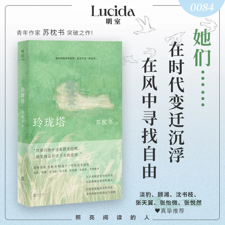 玲珑塔（苏枕书暌违11年短篇小说集，捕捉时代变迁中的个人沉浮，