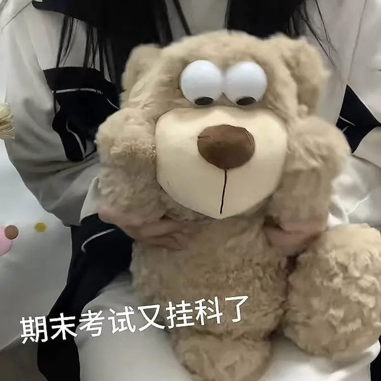 会翻眼睛的小熊玩偶娃娃公仔天才熊创意毛绒玩具抱枕生日礼物女生