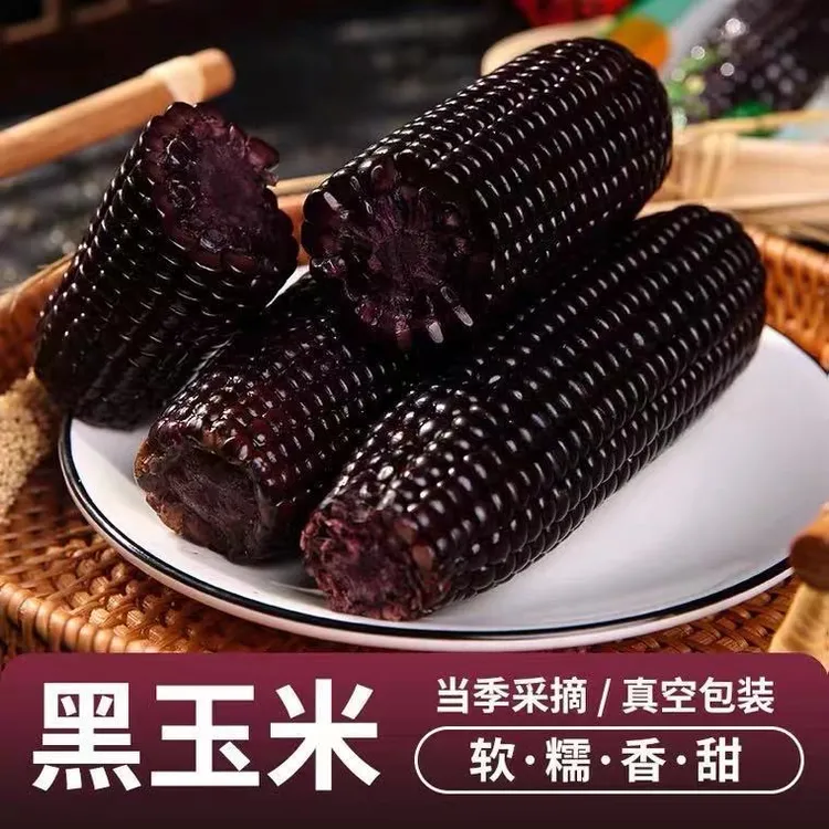 玉心玉意【铝箔装】2025年新玉米东北黑糯玉米新鲜采摘香甜软糯10支