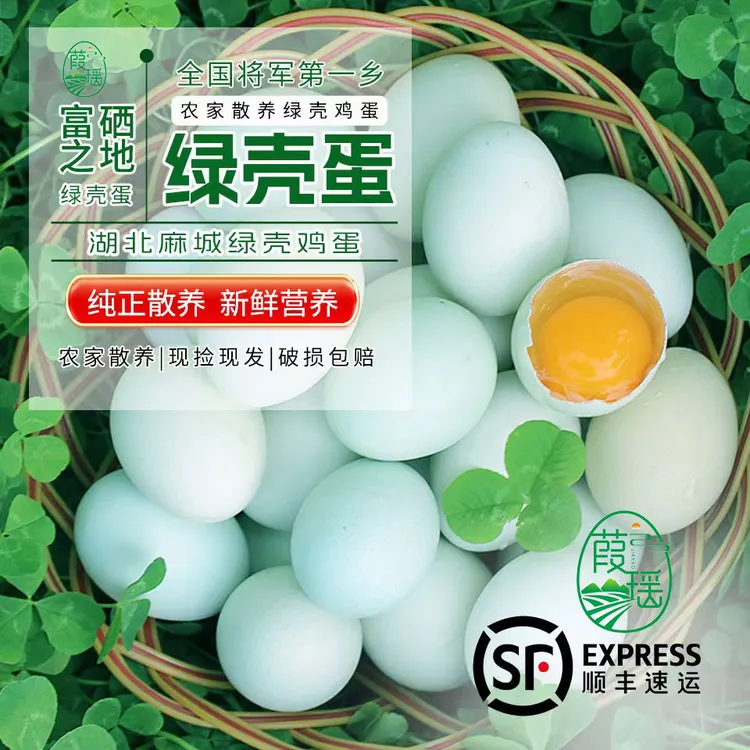 【50枚顺丰发货】正宗大别山绿壳跑山鸡蛋30枚/50枚山地散养