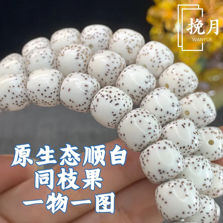 海南料星月菩提原生态顺白同枝果侧留白月留白一物一图手工抛光