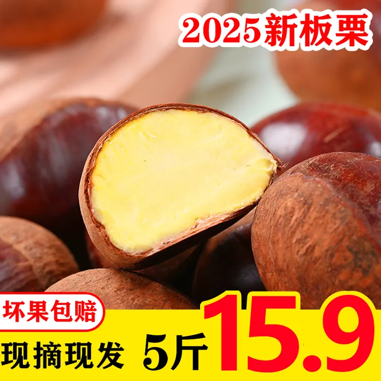 【佳佳专属】丹东板栗新鲜高山现摘饱满甜糯营养大板栗生栗子难剥皮