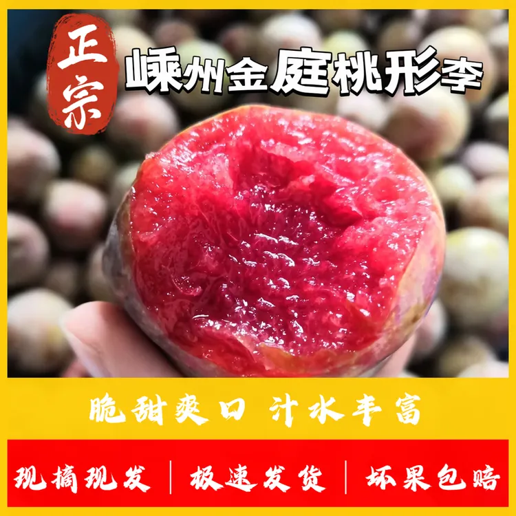 浙江嵊州金庭特产高山桃形李新鲜多汁酸甜可口季节水果