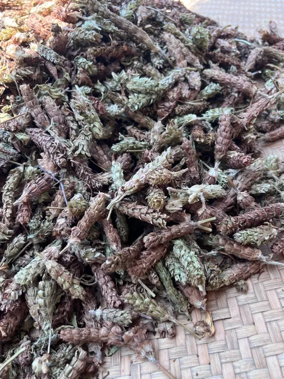【蛟哥土特产】永嘉楠溪江夏枯草
