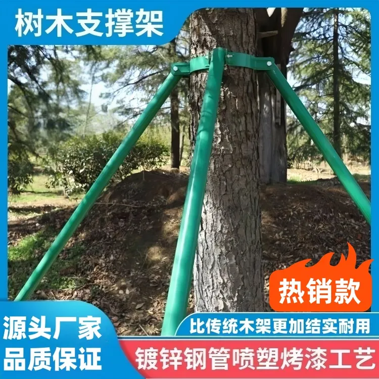 园林钢管树木支撑架园艺园林防风大树支撑杆绿化苗木支架树固定器