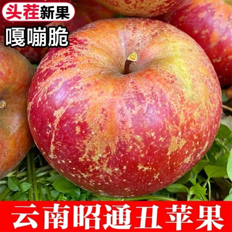 云南昭通苹果红富士丑苹果脆甜好吃新鲜水果现摘5斤-10斤脆甜多汁