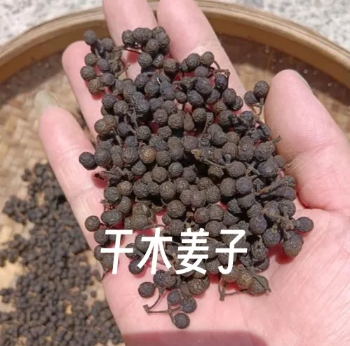 贵州野生木姜子山苍子云贵川酸汤火锅调味料