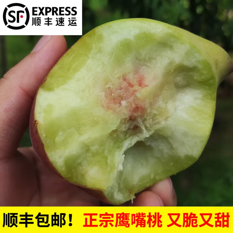 【顺丰包邮】正宗赣南鹰嘴桃 又脆又甜新鲜脆桃 桃子现摘现发水果
