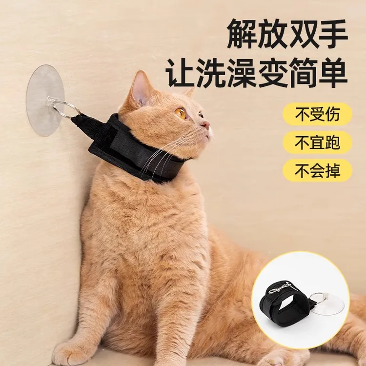 猫咪洗澡神器狗狗洗澡固定器宠物剪指甲防抓咬吸盘牵引绳宠物用品