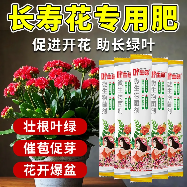 【长寿花专用肥料】补充催花生根微生物营养肥花卉盆栽绿植底肥