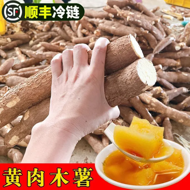 【顺丰包邮】新鲜现挖黄肉木薯 糖水店同款鸡蛋黄心木薯净重1-9斤
