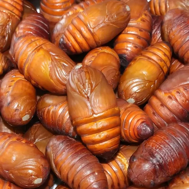 秋季日系经典百搭格子长袖衬衫宽松慵懒风格