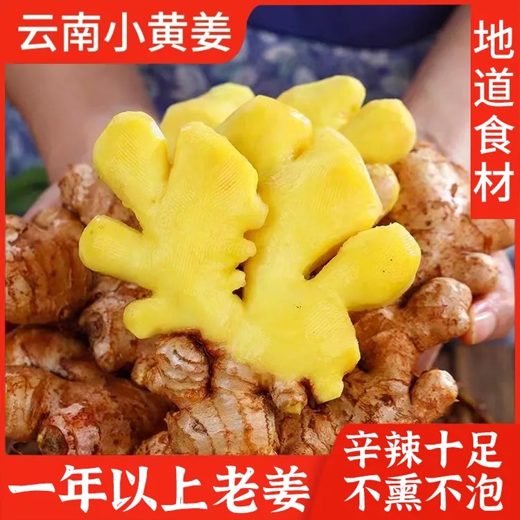 云南小黄姜现挖嫩姜生姜辛辣小黄姜现挖现发3斤5斤9斤批发