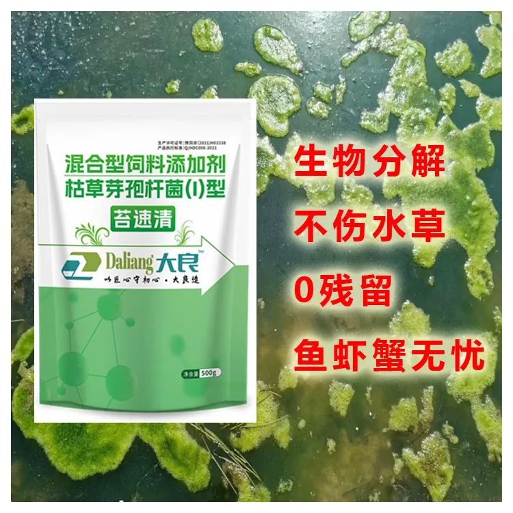 水产养殖除青苔专用剂枯草芽孢杆菌改善水质