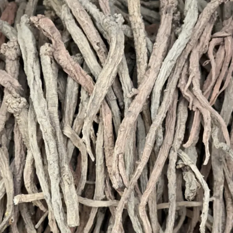 甘肃高原干货老党参~批发