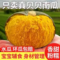 G内蒙古沙地贝贝南瓜粉糯香甜(产地直发)