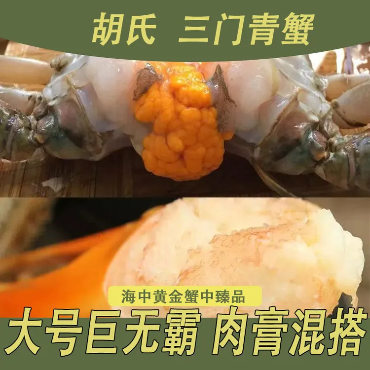 【礼盒搭配】正宗三门青蟹气派特大公蟹 大红膏蟹 海鲜鲜活水产螃蟹