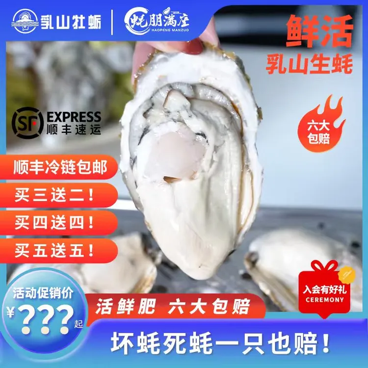 达人【买3送2买4送4】蚝朋满座乳山生蚝海鲜特大生蚝鲜活顺丰5-8斤
