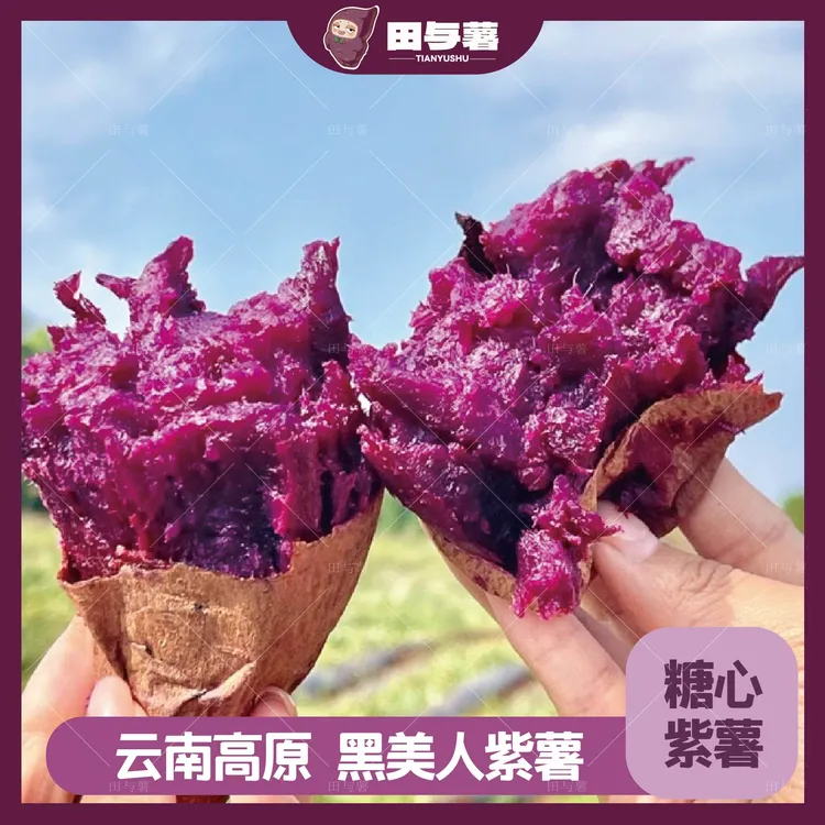 田与薯黑美人紫薯·云南高原紫薯糖心紫薯软糯香甜不干噎粗粮紫薯商品图