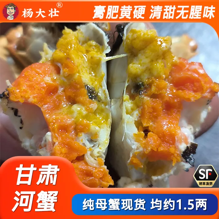 纯母蟹现货甘肃甜蟹活蟹约1.5两2斤装螃蟹河蟹黄硬香甜可口