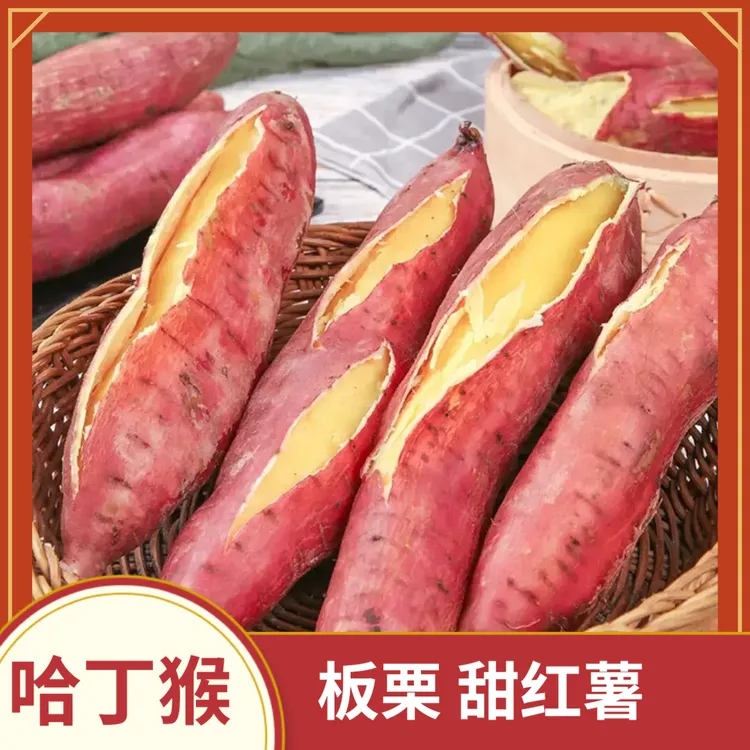 正宗板栗红薯沙地红薯新鲜蜜薯软糯香甜黄心地瓜饱满皮薄