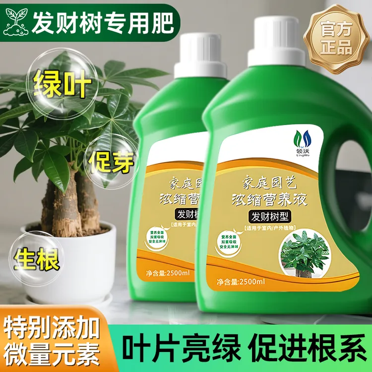 【发财树专用营养液】黄叶枯叶烂根家庭园艺肥料阳台盆栽绿植通用型