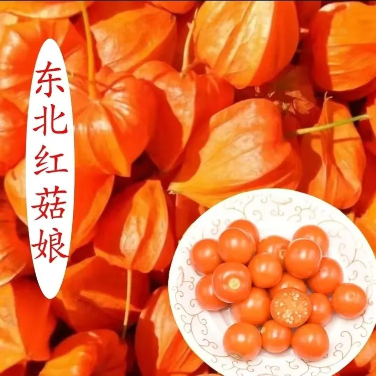 《500克》东北大红袍鲜姑娘果