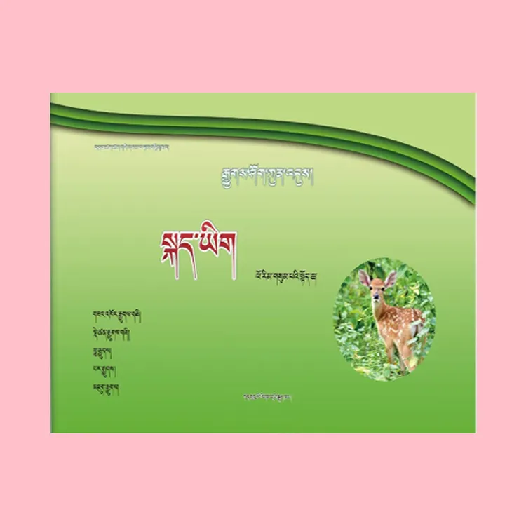 2025年最新正版全能卷语文三年级上册藏文版藏文书书本藏语新版