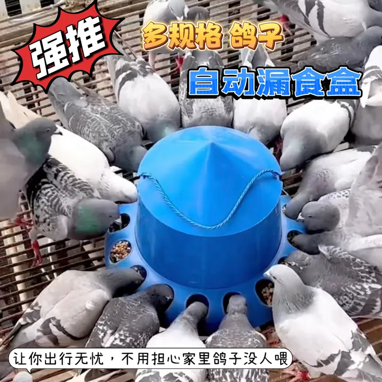 赛鸽食槽鸽子漏食器防溅鸽具喂食器食盒多孔自动下料器鸽子投食商品图