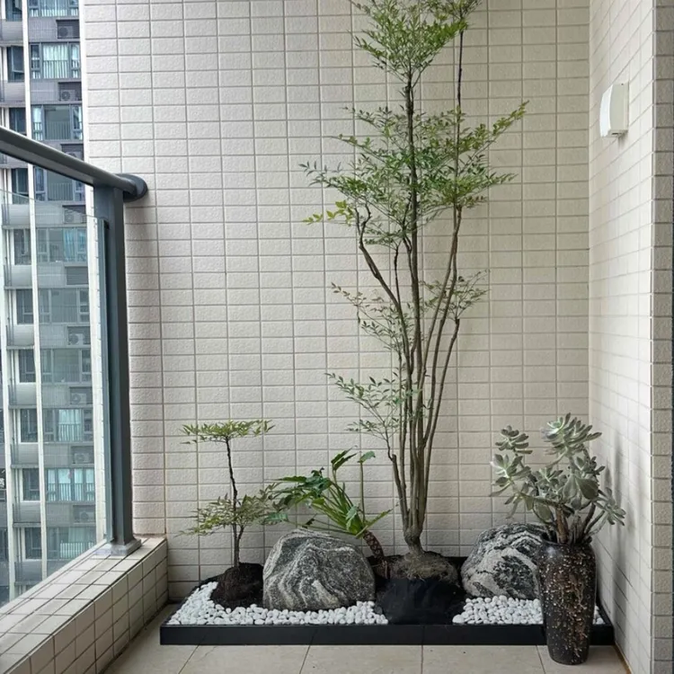精致植物南天竹盆景四季多变落地大盆栽适合室内摆放