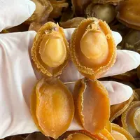 【翠凤】大连鲍鱼口感软糯可口 煲汤 煮粥 焖 鲜味十足又营养