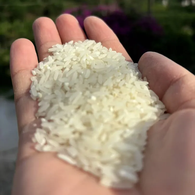 四川乐山2025年新米