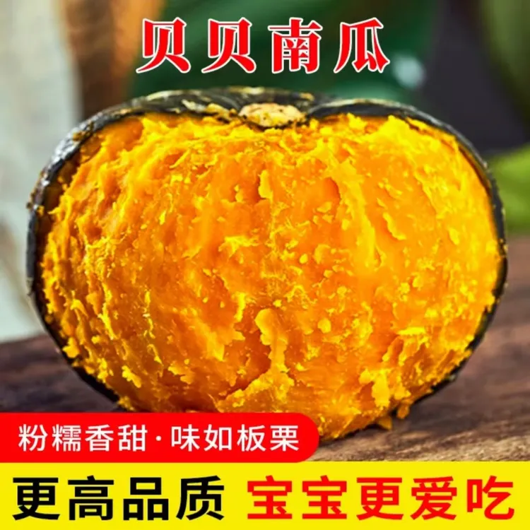 【坏果包赔】新鲜采摘沙地贝贝南瓜粉糯香甜板栗味不粉包赔A+