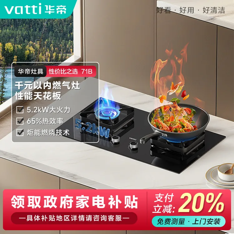 Vatti/华帝【专属】i10071b双灶两用天然气液化气煤气灶玻璃燃气灶