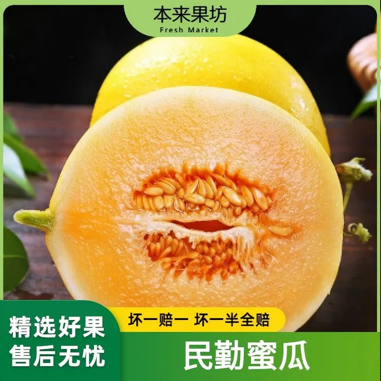 【本来果坊】 甘肃民勤蜜瓜 新鲜应季 水果甘甜 产地发货 8斤装