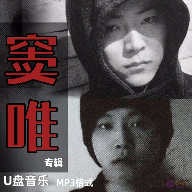 窦唯歌曲专辑U盘流行摇滚音乐黑豹经典怀旧老歌mp3车载高音质窦仙