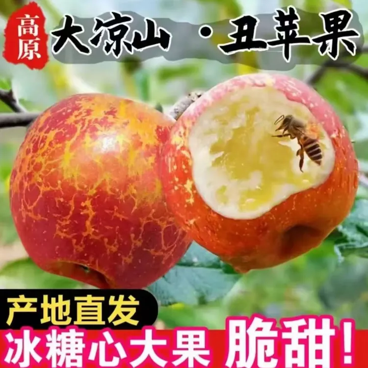 【产地直发】正宗四川大凉山丑苹果冰糖心苹果新鲜应季脆甜孕妇水果