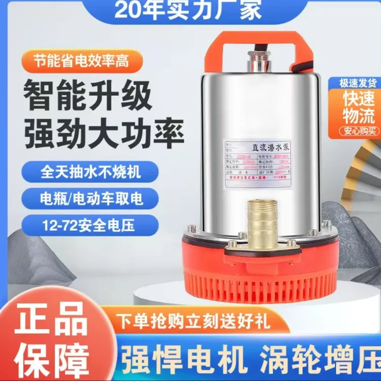 抽水水泵12V24V48V电瓶车水泵高扬程农田灌溉家用直流电车抽水机