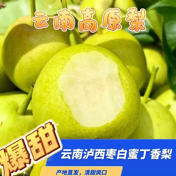 云南高原梨丁香梨早白蜜蜂糖梨香甜多汁新鲜水果果园脱骨直发