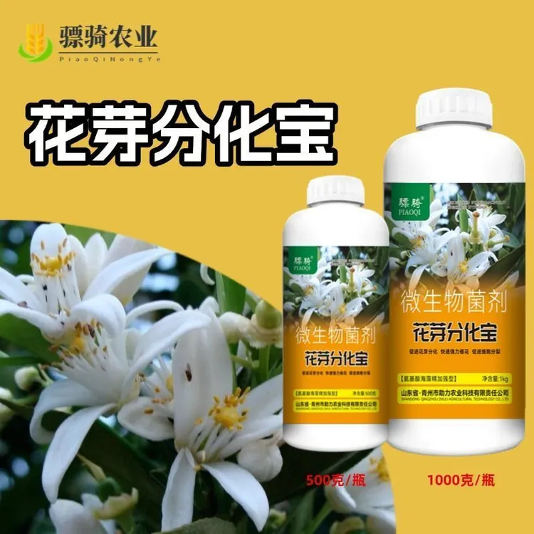 骠骑花芽分化宝瓜果果树促进花芽分化保花保果增产增收叶面肥