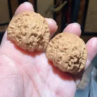 文玩核桃把件42白狮子全品