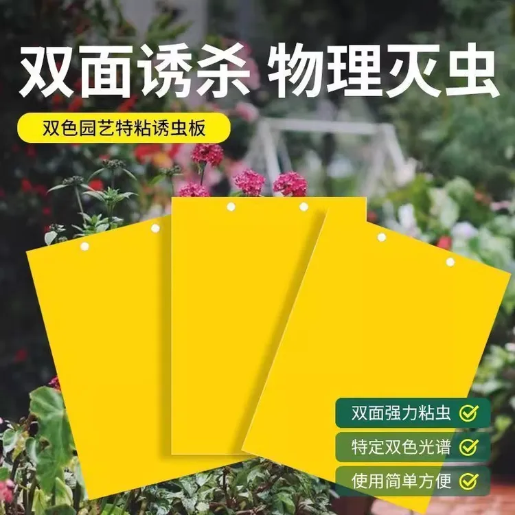 新疆包邮乌市直发强力双面粘虫板家用双面粘虫板蔬菜大棚茶园黄板