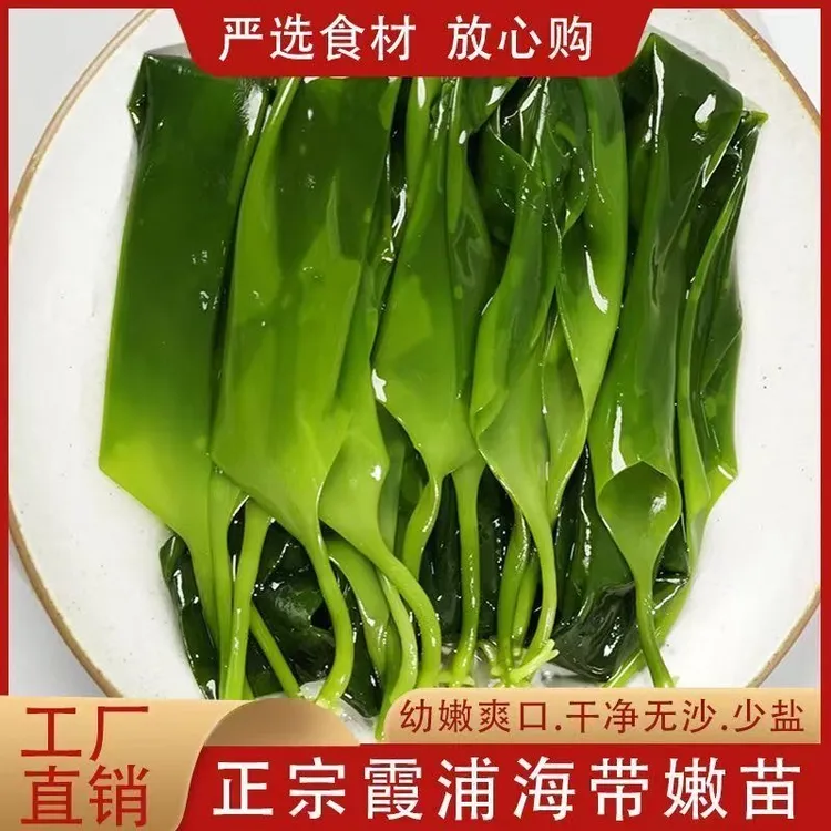 【买1包送2包】霞浦特产海带苗新鲜嫩菜翠绿爽滑无沙无泥250g/包
