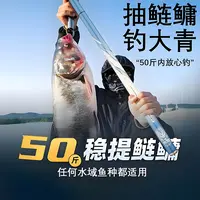 【威海直发6H19调】高碳台钓竿全水域综合鱼竿