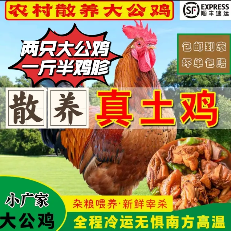 两只农村散养大公鸡＋一袋鸡胗共十斤（顺丰冷链）
