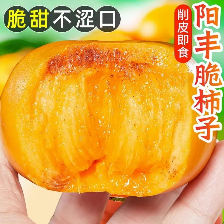 阳丰巧克力脆柿子新鲜当季水果脆甜多汁不涩口